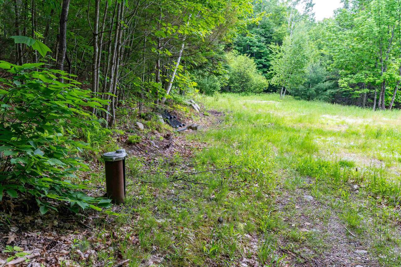 R09-0051+B Richardson Road - Photo 1