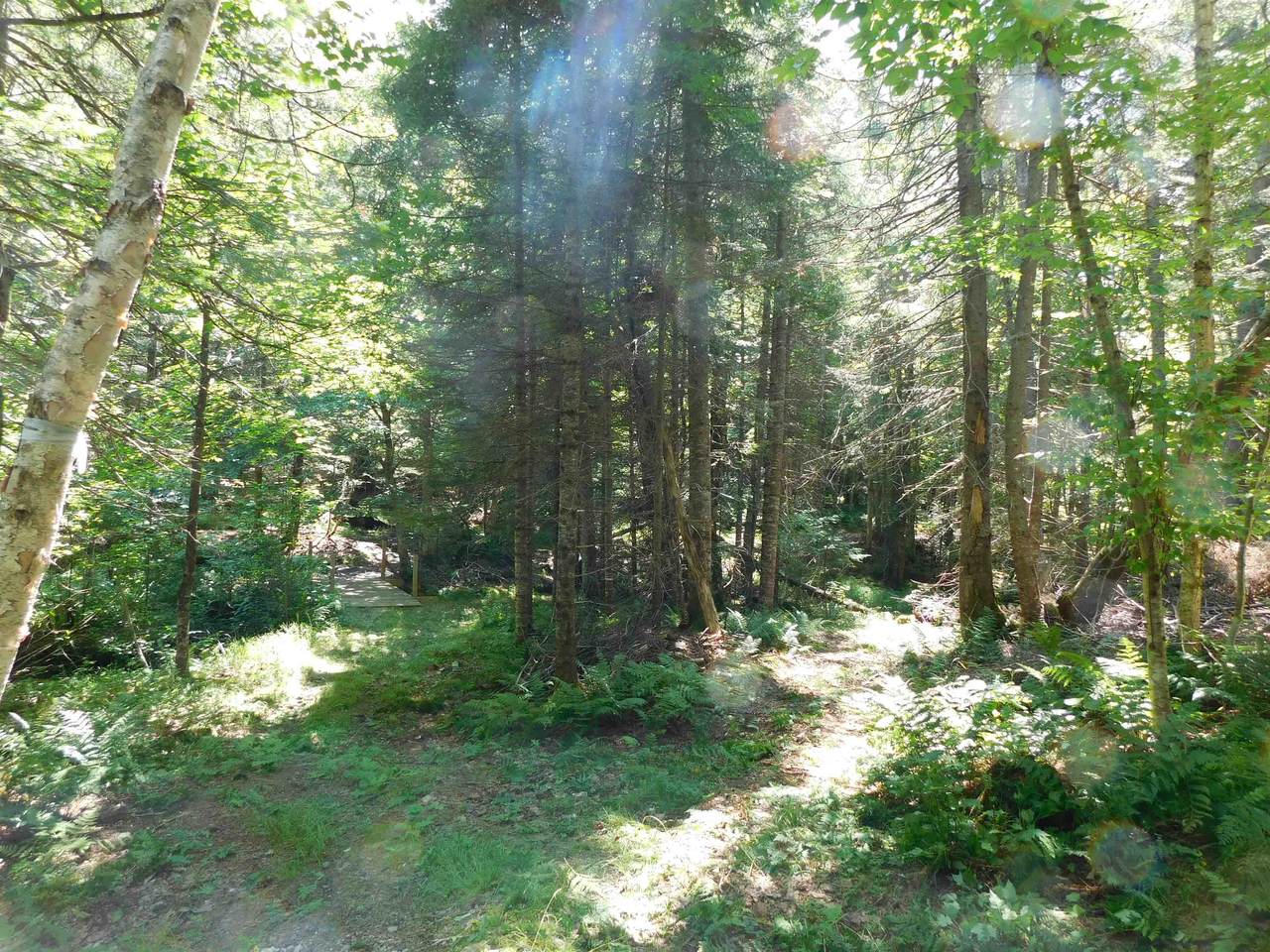 0 Cloutiers Loop - Photo 1