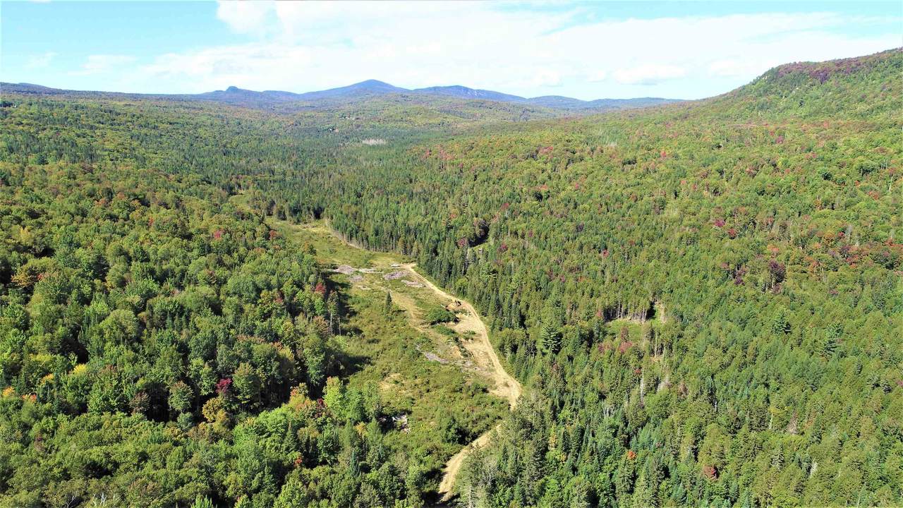 373 Bean Hollow Trail - Photo 1