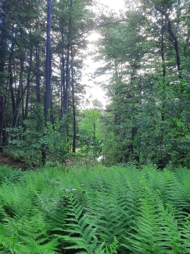 582 Hartley Hill Road - Photo 1