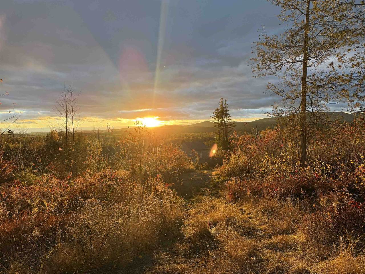 Lot 12 Page Hill Road - Photo 1