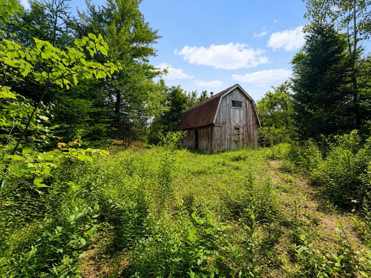 2900 Old Duck Pond Road - Photo 1