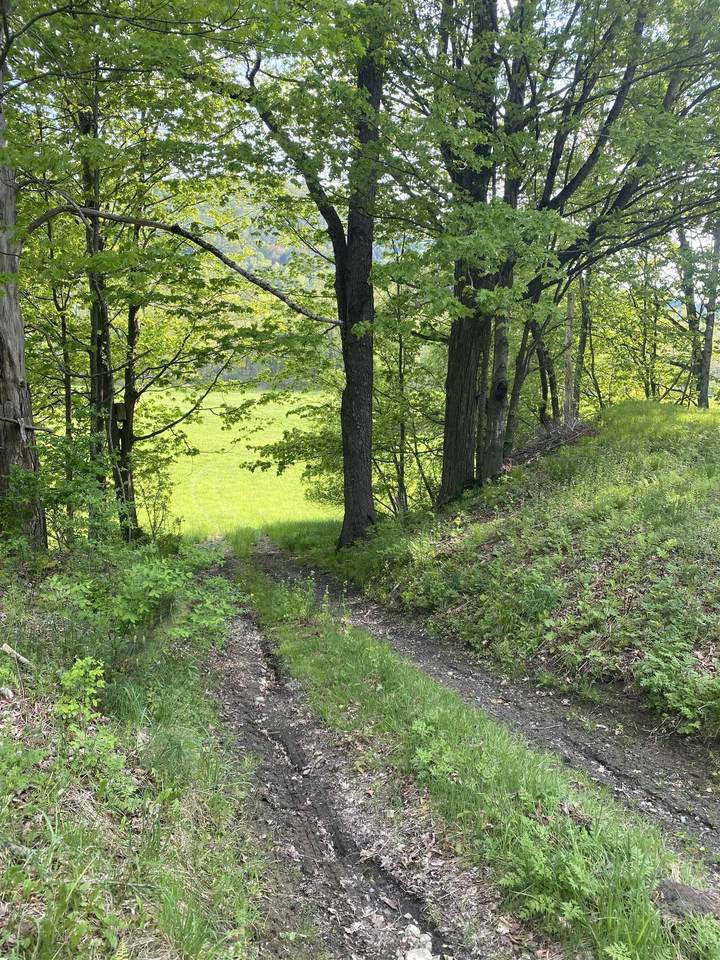 https://bt-photos.global.ssl.fastly.net/nneren/1280_boomver_3_5089557-2.jpg