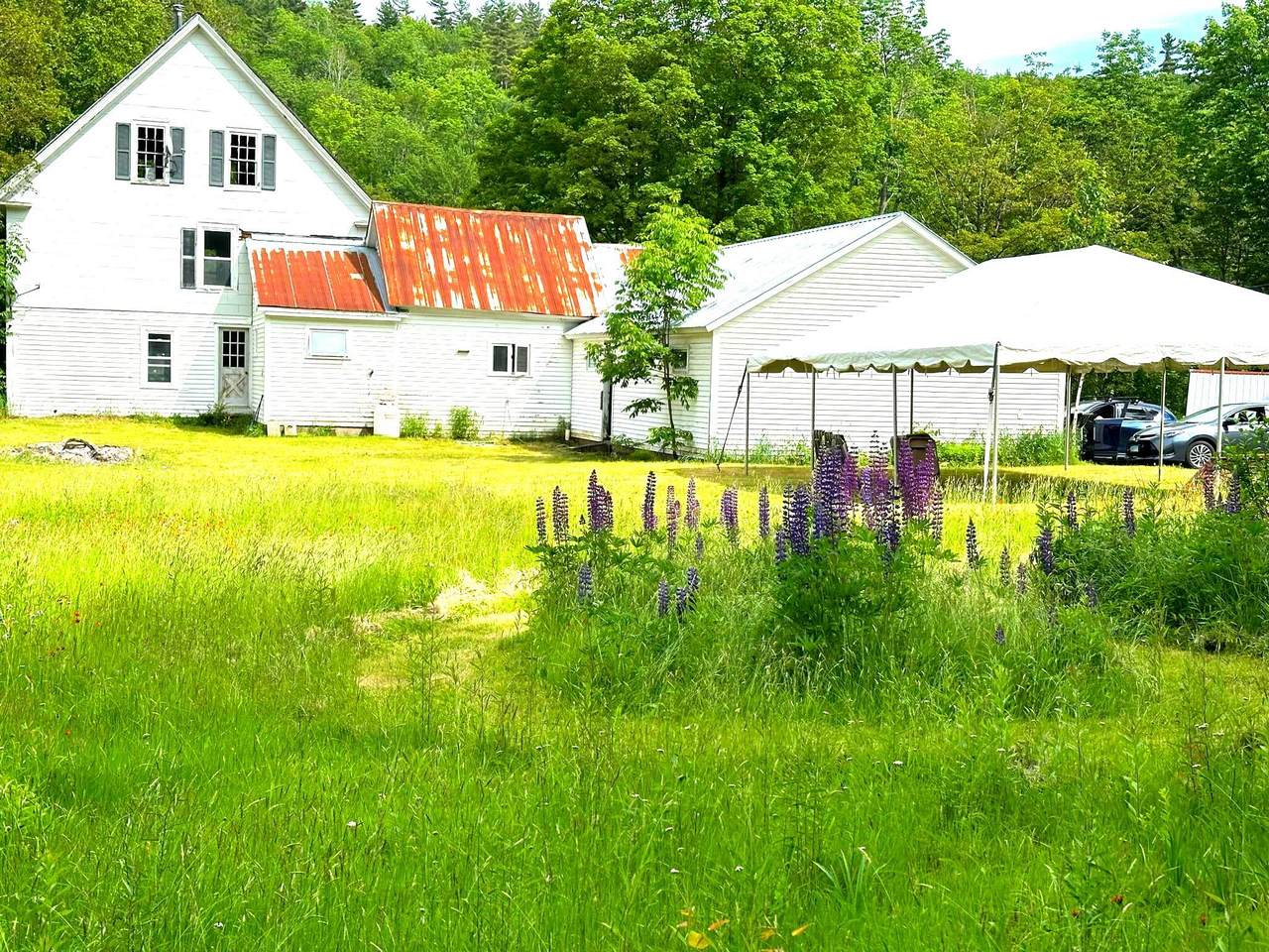 20 Newell Hill - Photo 1