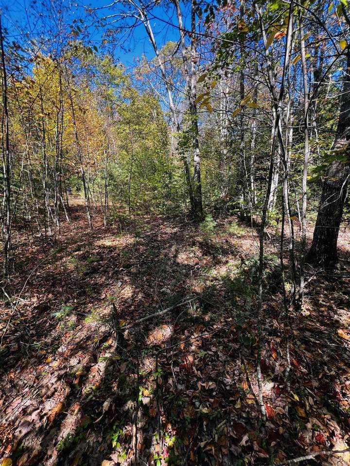 Map 408 Lot 39-1 Bullock Road - Photo 1