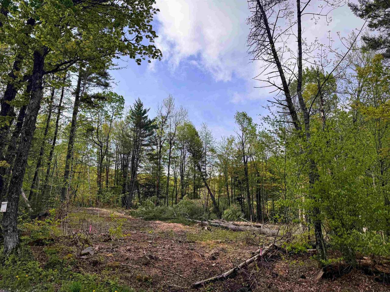 169 Sun And Ski Road - Photo 1