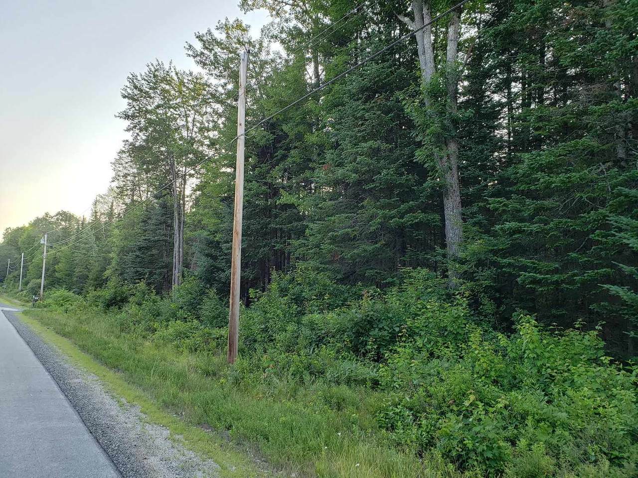 Lot 17 Deer Run Road - Photo 1