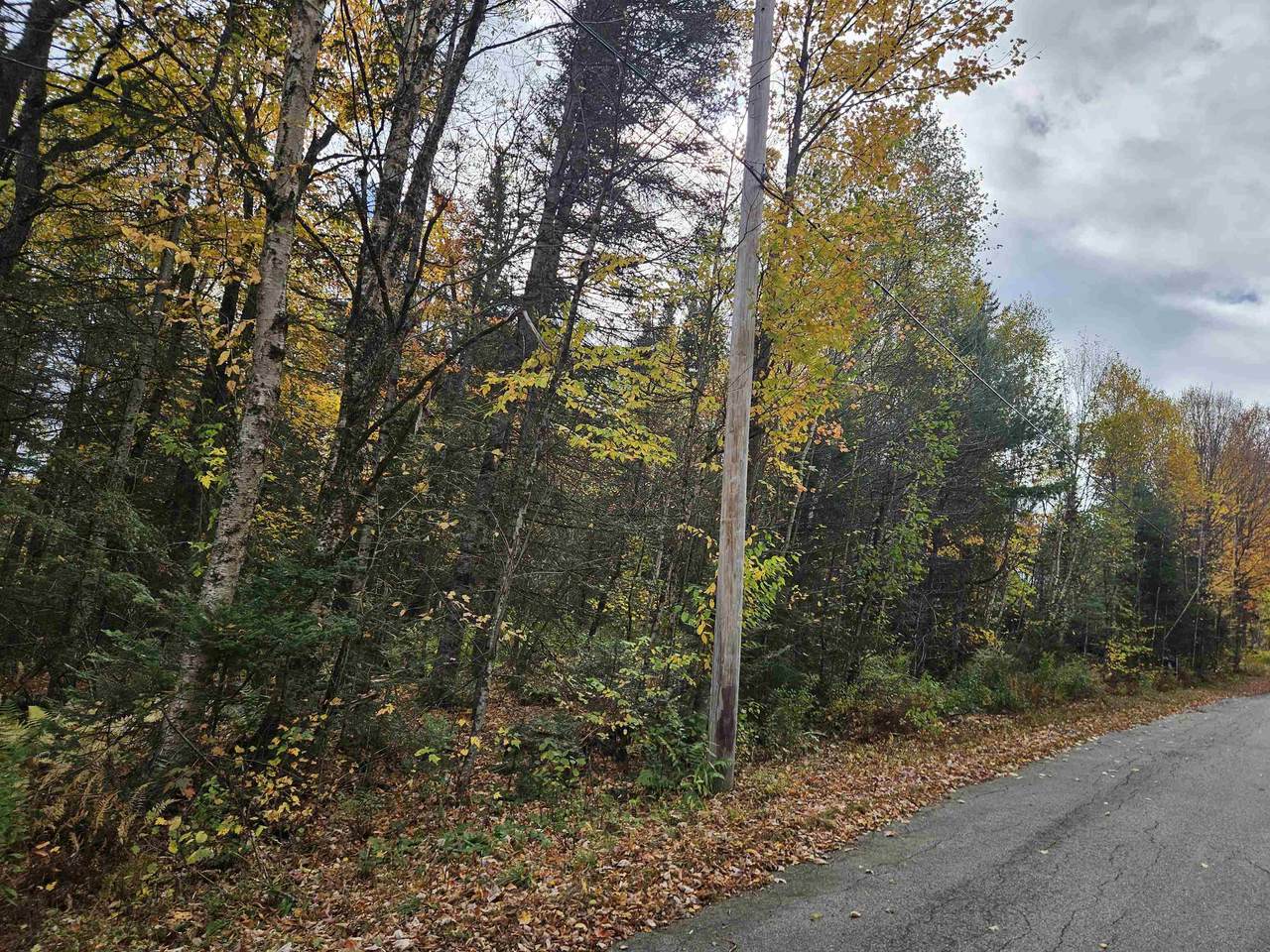 Lot 15 Hadley Road - Photo 1