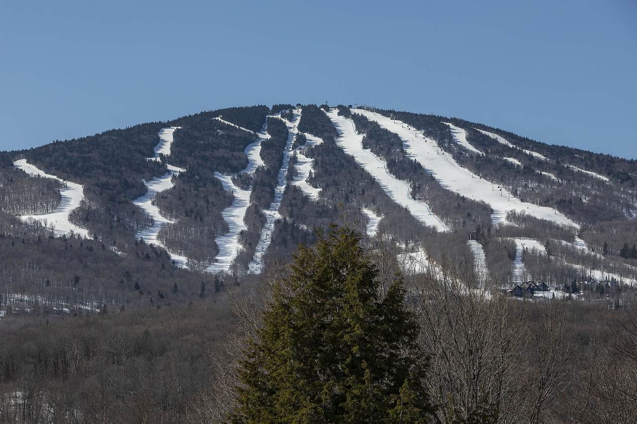 A6 Ridge Court - Photo 1