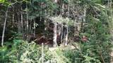 0 Route 155 - Photo 31