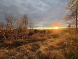 Lot 12 Page Hill Road - Photo 4