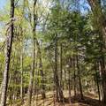TBD Waits River Road - Photo 17