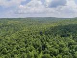 Lot 16 Deadwater Road - Photo 14