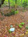 0 Cider Mountain Road - Photo 25