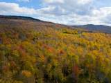 0 Cider Mountain Road - Photo 30