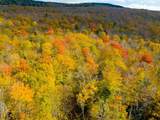 0 Cider Mountain Road - Photo 31