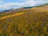 0 Cider Mountain Road - Photo 32