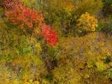 0 Cider Mountain Road - Photo 34