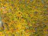 0 Cider Mountain Road - Photo 38