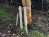 0 Cider Mountain Road - Photo 59