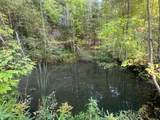 1233 Lower Elmore Mountain Road - Photo 5