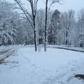 Lot 67 Sandwich Slopes Road - Photo 17