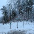 Lot 67 Sandwich Slopes Road - Photo 22