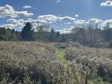 0 Old Farm Road - Photo 14