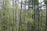 550 Equinox On The Battenkill Road - Photo 6