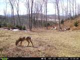 1231 Lafont Road - Photo 29