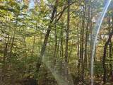 Lot 90 Faraway Road - Photo 30