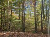 Lot 90 Faraway Road - Photo 33