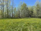TBD Forrest Road - Photo 2