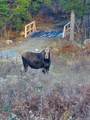 308 Cheever Road - Photo 12