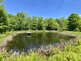 402 Burrington Hill Road - Photo 14