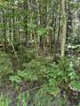 0 Boardman Loop - Photo 2