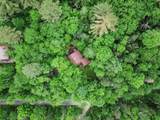 192 Forest Mountain Road - Photo 6