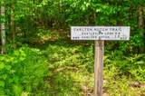 440 Randolph Hill Road - Photo 30