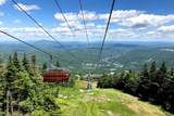 179 Vt Route 100 - Photo 40