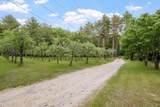 166 Pitman Road - Photo 2