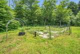 392 Old Stage Road - Photo 12