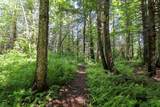 5551 Noyestar Road - Photo 34