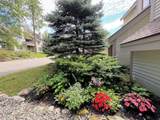 34 Sugar Brook Road - Photo 39