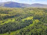 0 & 1169 Bungy Road - Photo 40