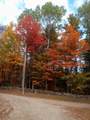 9 Wood Thrush Acres Road - Photo 37