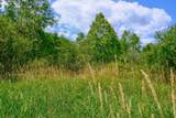 00 Town Farm Road - Photo 10