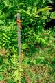 00 Town Farm Road - Photo 8