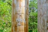 00 Town Farm Road - Photo 9