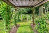 315 Black Bear Run - Photo 36