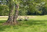 507 Benson Road - Photo 34